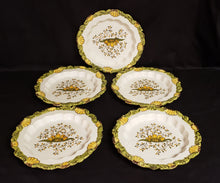 Load image into Gallery viewer, Bassano Majolica Plates