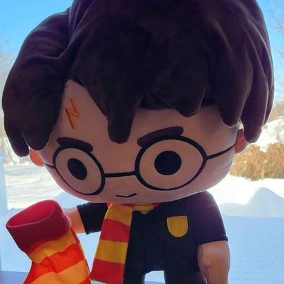 Harry Potter w/Stocking Plush Toy , 18