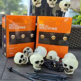 Spooky! Halloween Indoor Outdoor LED Skull Pathway Stakes, 2 Sets of 10.