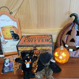 Lot of Assorted Halloween Items