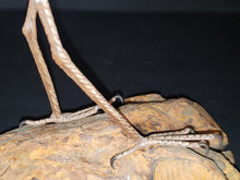 Load image into Gallery viewer, Carved Wood Ibis Figurine
