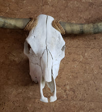 Load image into Gallery viewer, Wall Decor - Longhorn Skull and Horns
