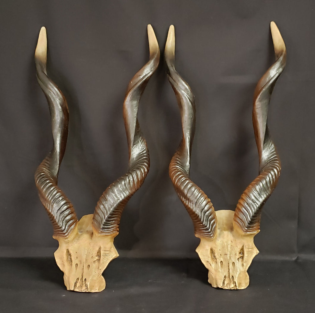 African Resin Kudu Horns