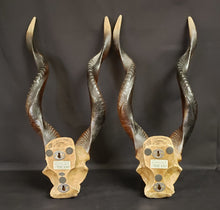 Load image into Gallery viewer, African Resin Kudu Horns
