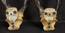 Load image into Gallery viewer, African Resin Kudu Horns
