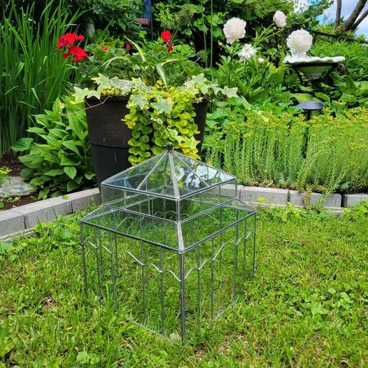 Glass Garden Cloche w/ Clear Glass & Bird Finial