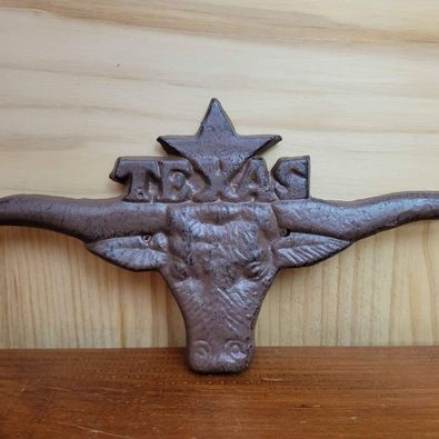 Wrought Iron Texas Longhorn Decorative Plate w/ Star, 11