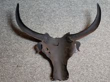 Load image into Gallery viewer, Metal Wall Art - Longhorn Steer
